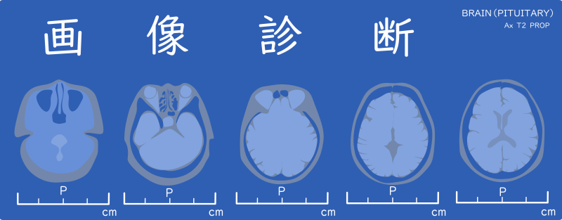 医学・医療の電子コンテンツ配信サービス | 医書.jp
