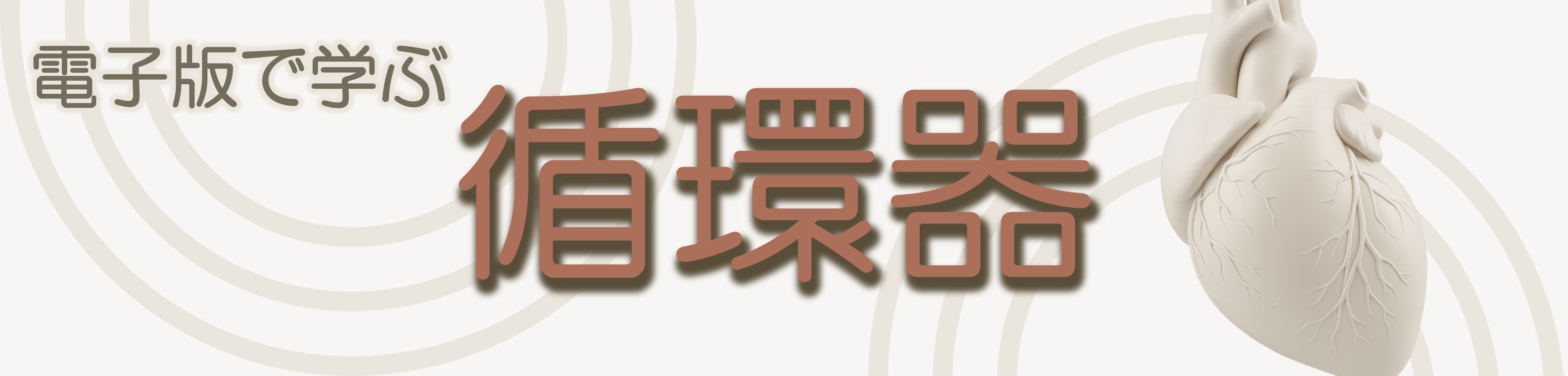 循環器フェア