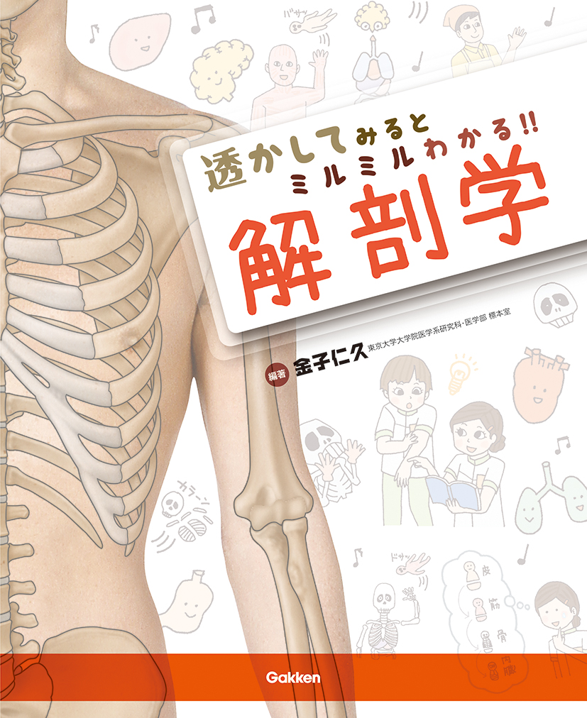 医療系 大学生 教科書 解剖学-