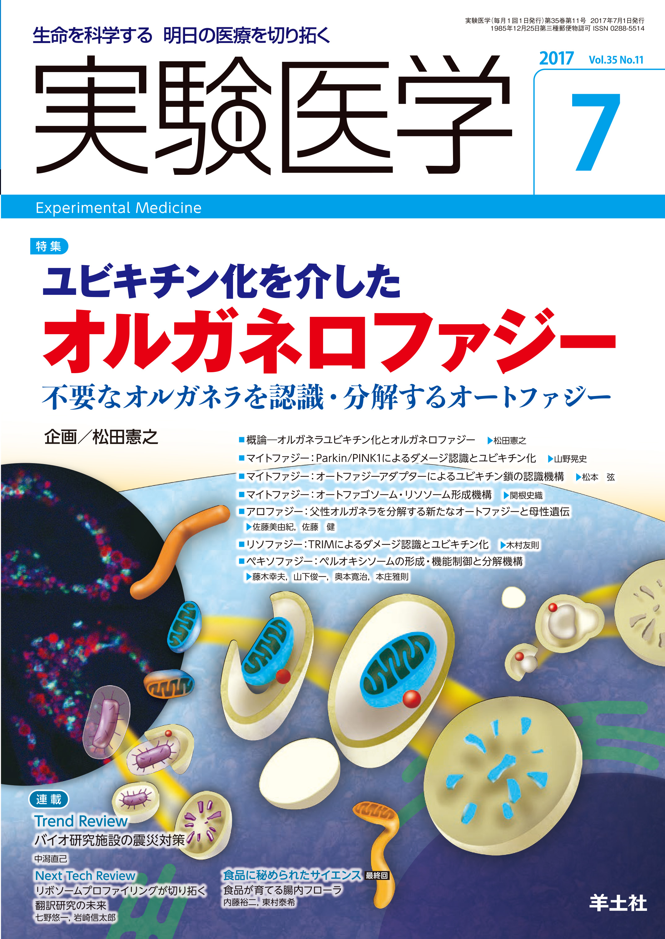 実験医学 Vol 35 No 11 電子版 医書 Jp