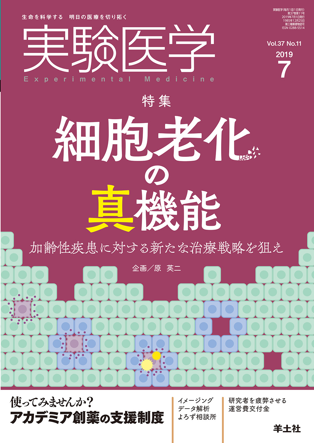 実験医学 Vol.37 No.11【電子版】 | 医書.jp