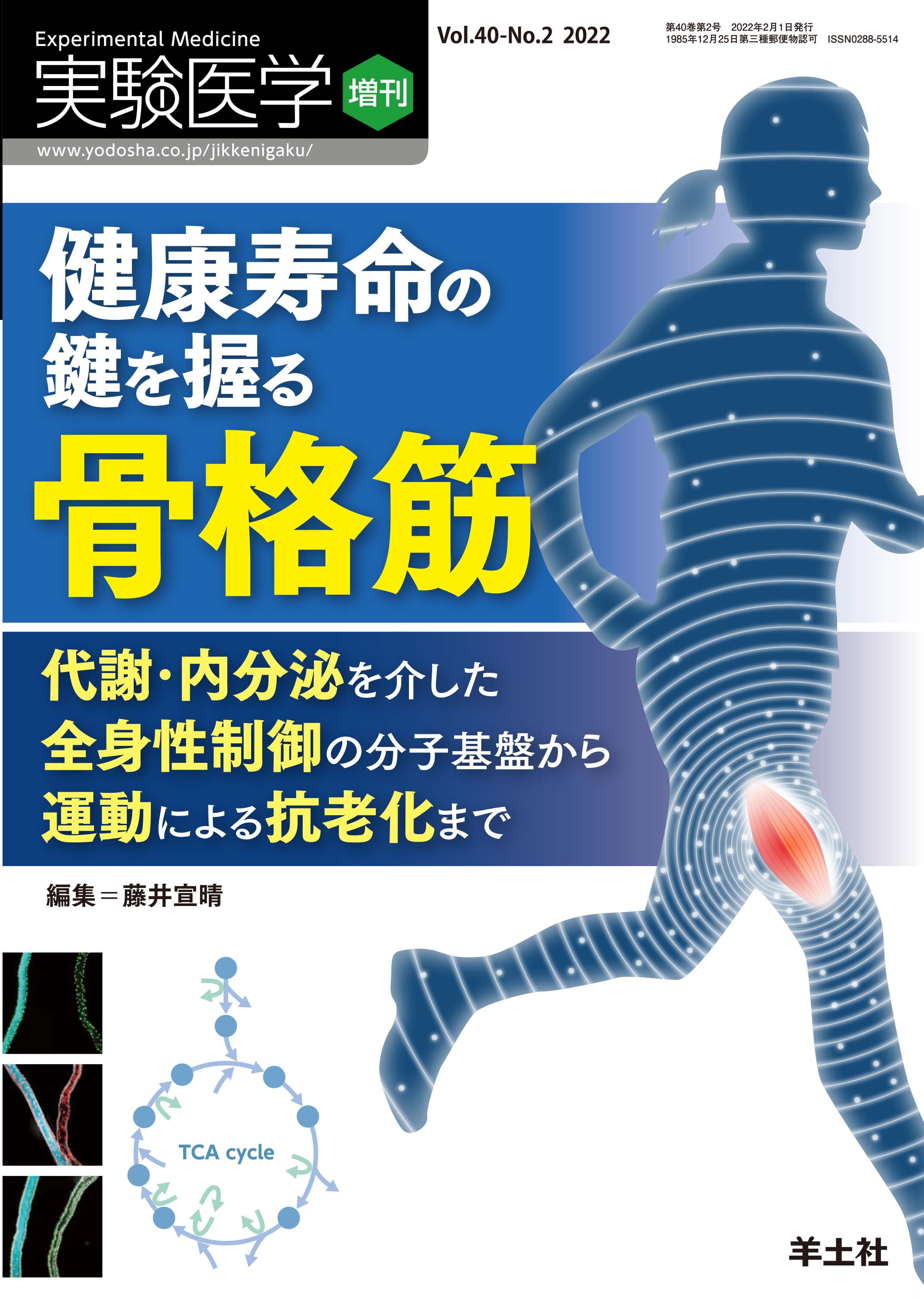 実験医学増刊 Vol.40 No.2【電子版】 | 医書.jp