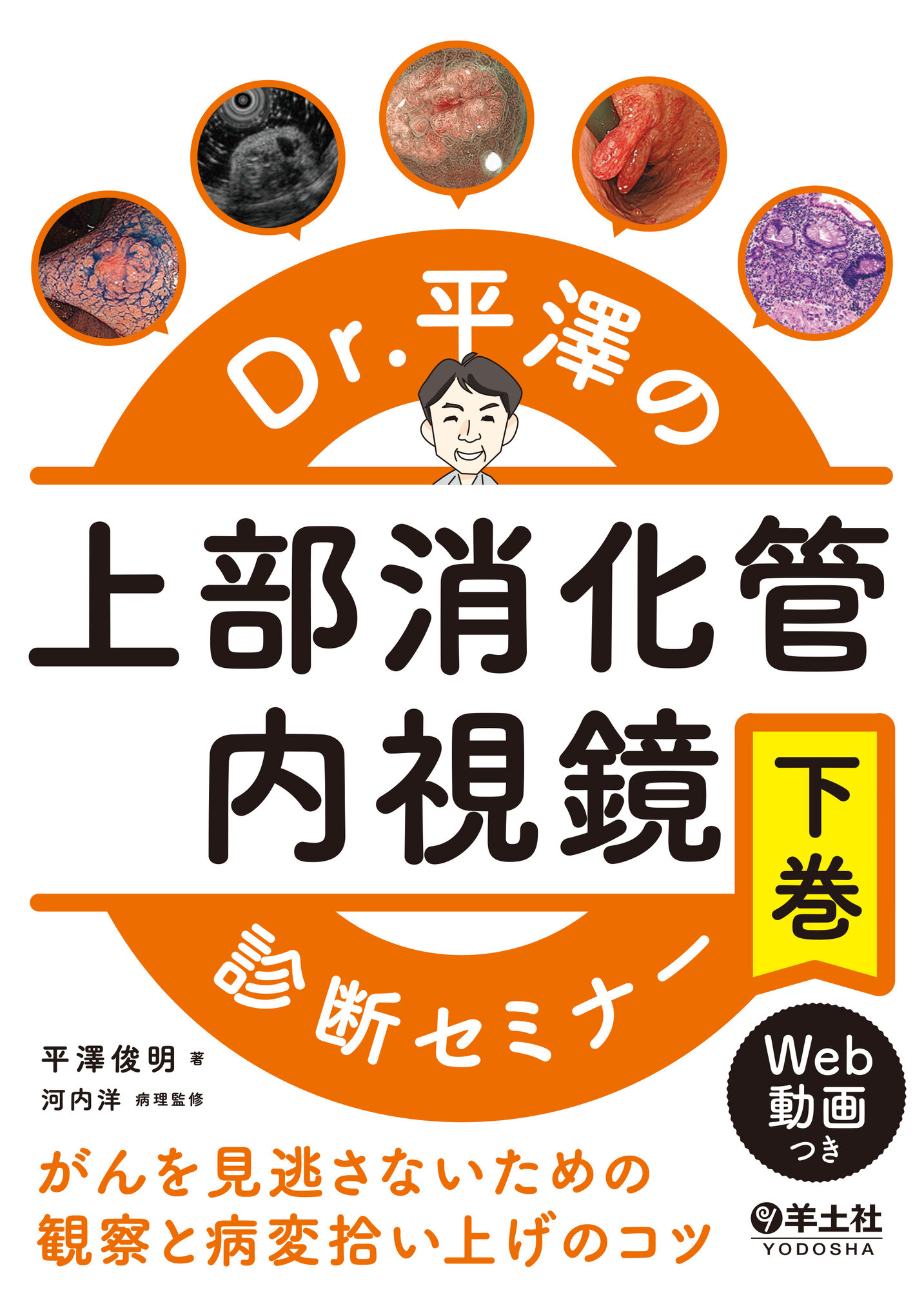 Dr.平澤の上部消化管内視鏡診断セミナー 上巻・下巻セット平澤俊明