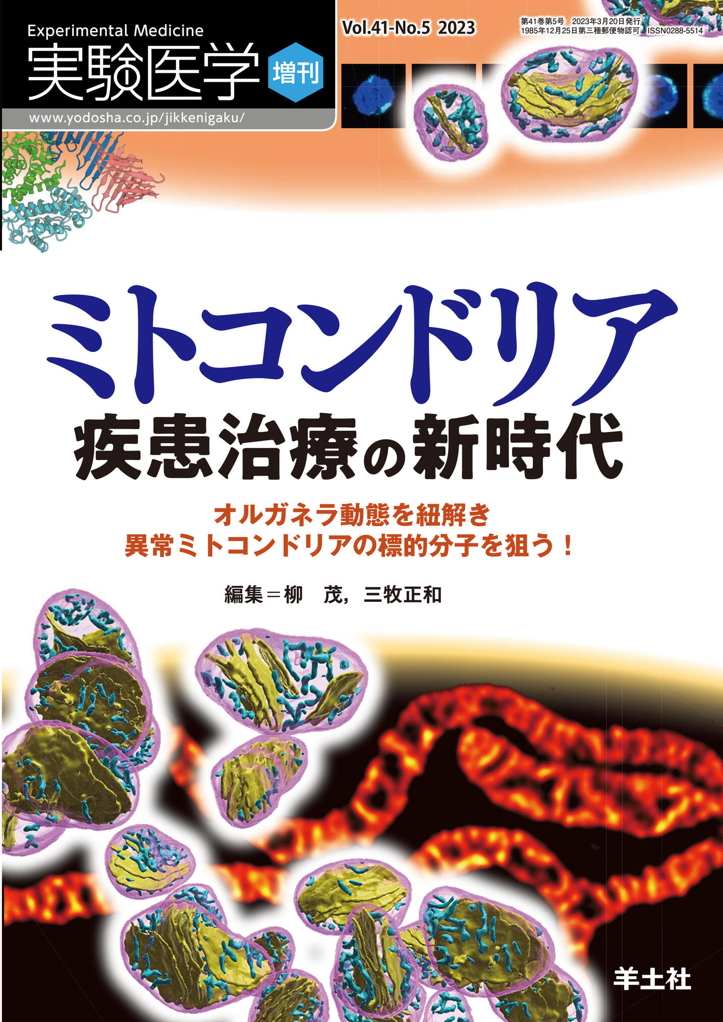 ミトコンドリア疾患治療の新時代: オルガネラ動態を紐解き異常ミトコンドリアの標的分子を狙う! [書籍]