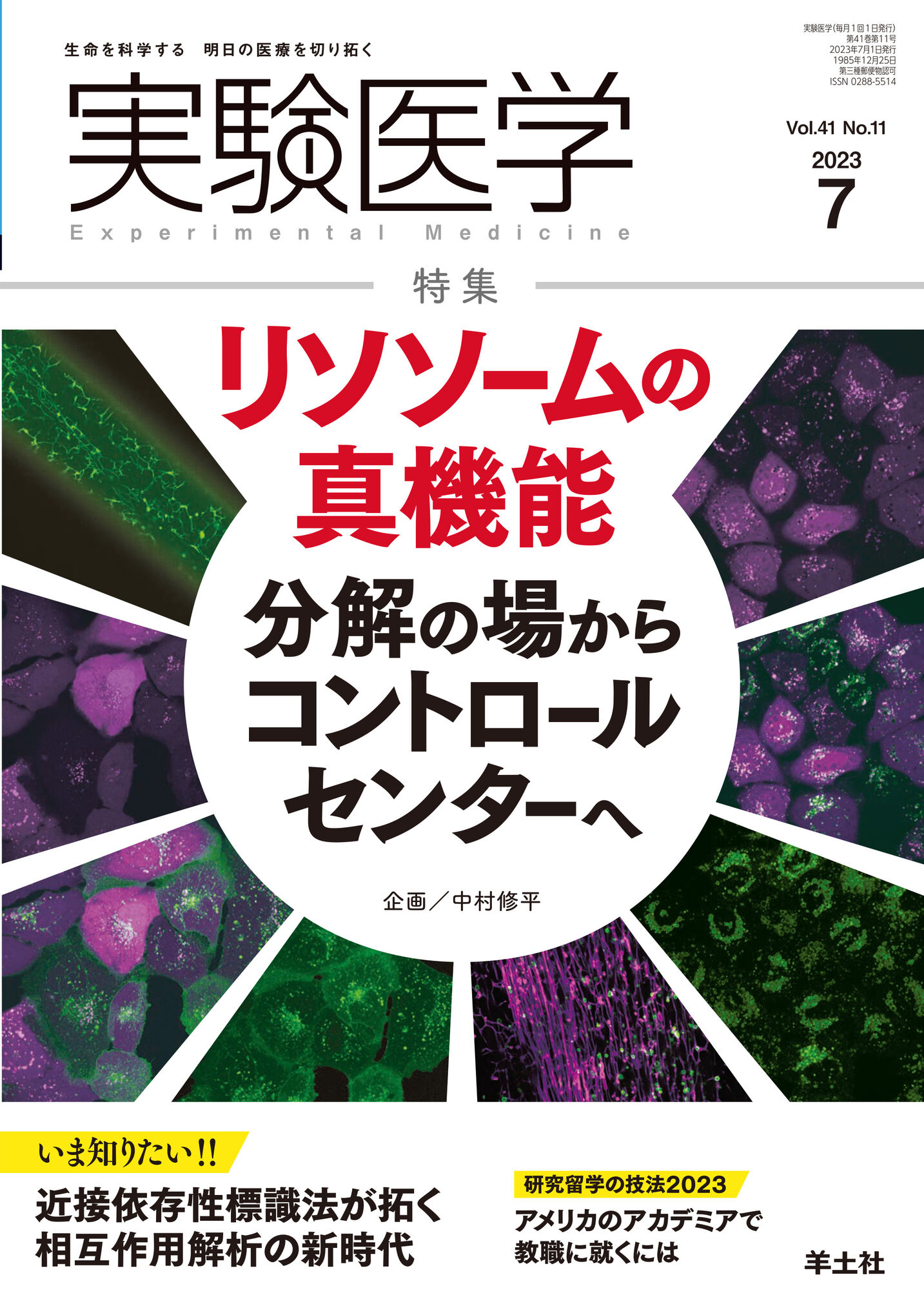 実験医学 Vol.41 No.11【電子版】 | 医書.jp