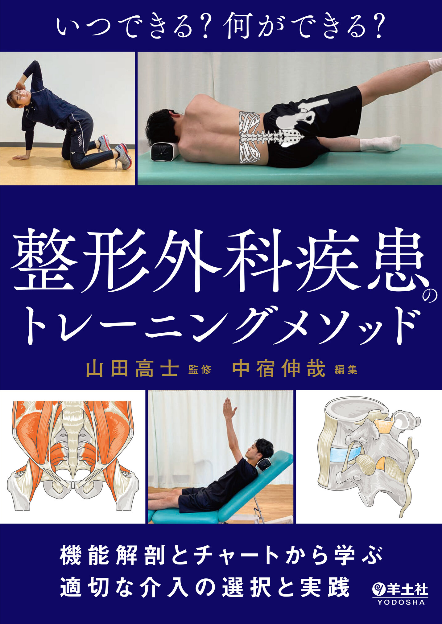 いつできる？何ができる？整形外科疾患のトレーニングメソッド【電子版 