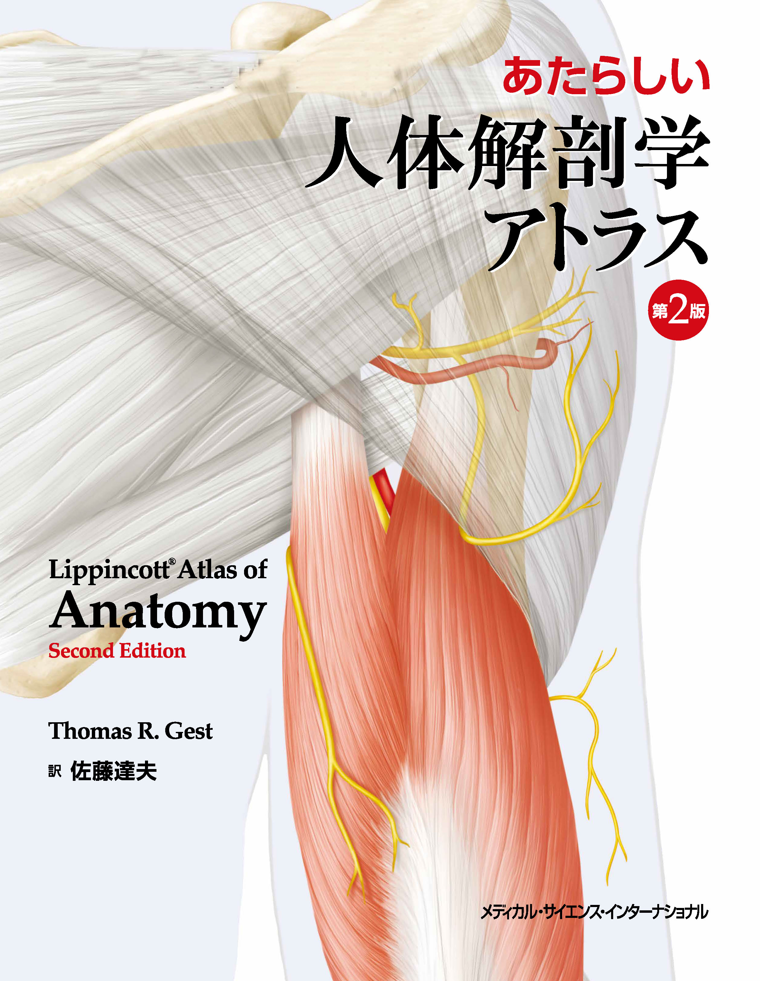 2A3-3【日本人のからだ 解剖学的変異の考察 佐藤達夫、秋田恵一/編