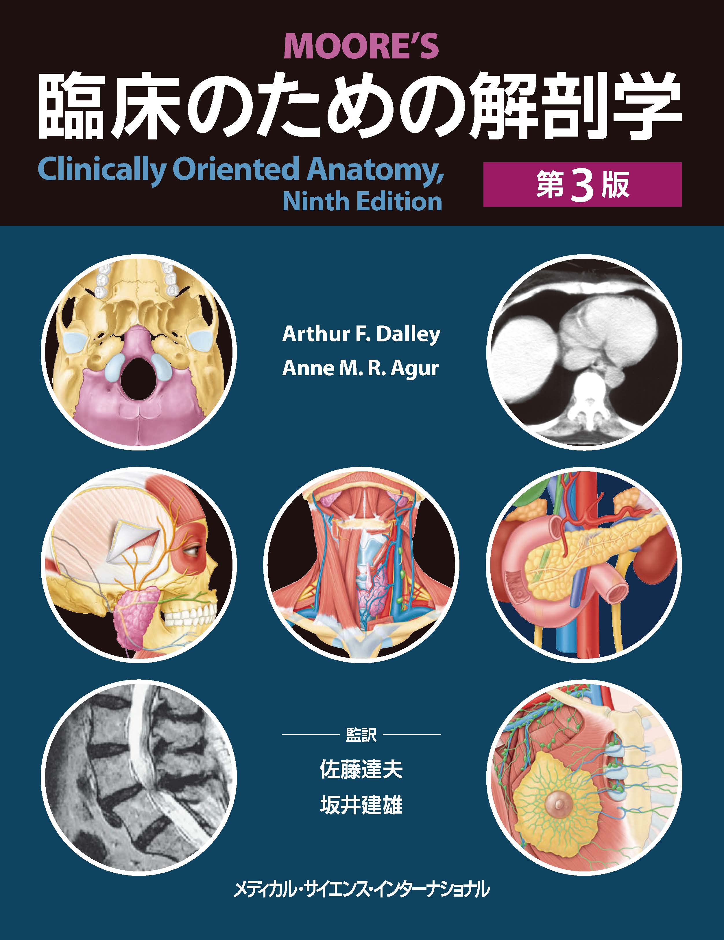 臨床的骨盤腹膜解剖から考える よくわかるTLH / 松本貴 【本】 - 通販 