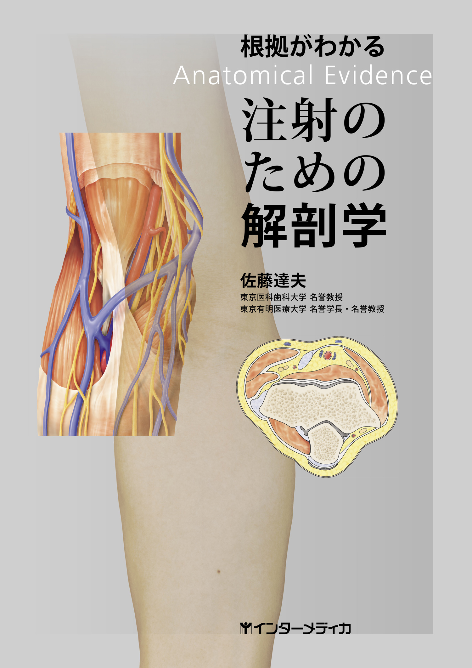 臨床のための解剖学 裁断済み-