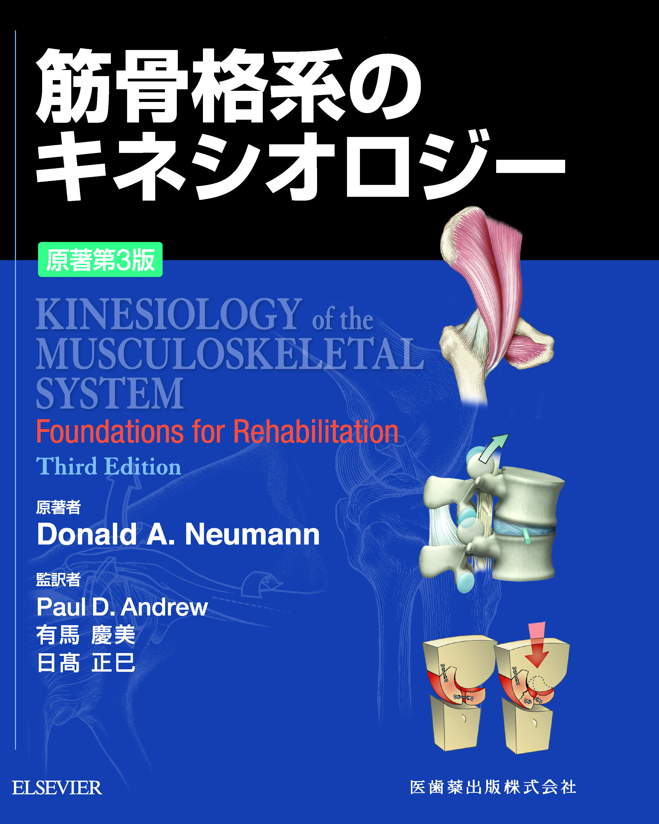 筋骨格系のキネシオロジー 原著第3版 ドナルド・A.ニューマン