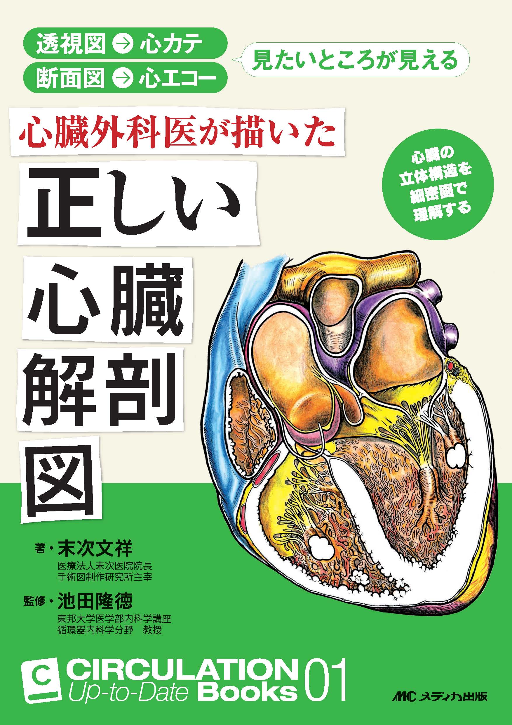 心臓外科医が描いた正しい心臓解剖図 電子版 医書 Jp