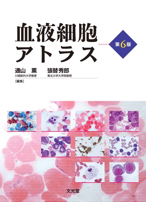 2019年4月定価✴︎美品✴︎ 血液細胞アトラス 第6版
