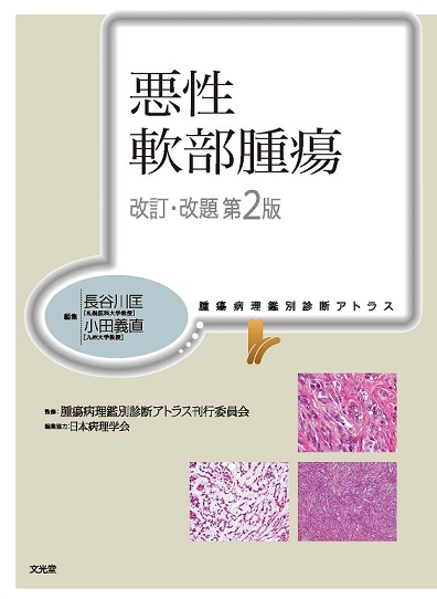 人気SALE豊富な悪性軟部腫瘍　改訂・改題　第2版 その他