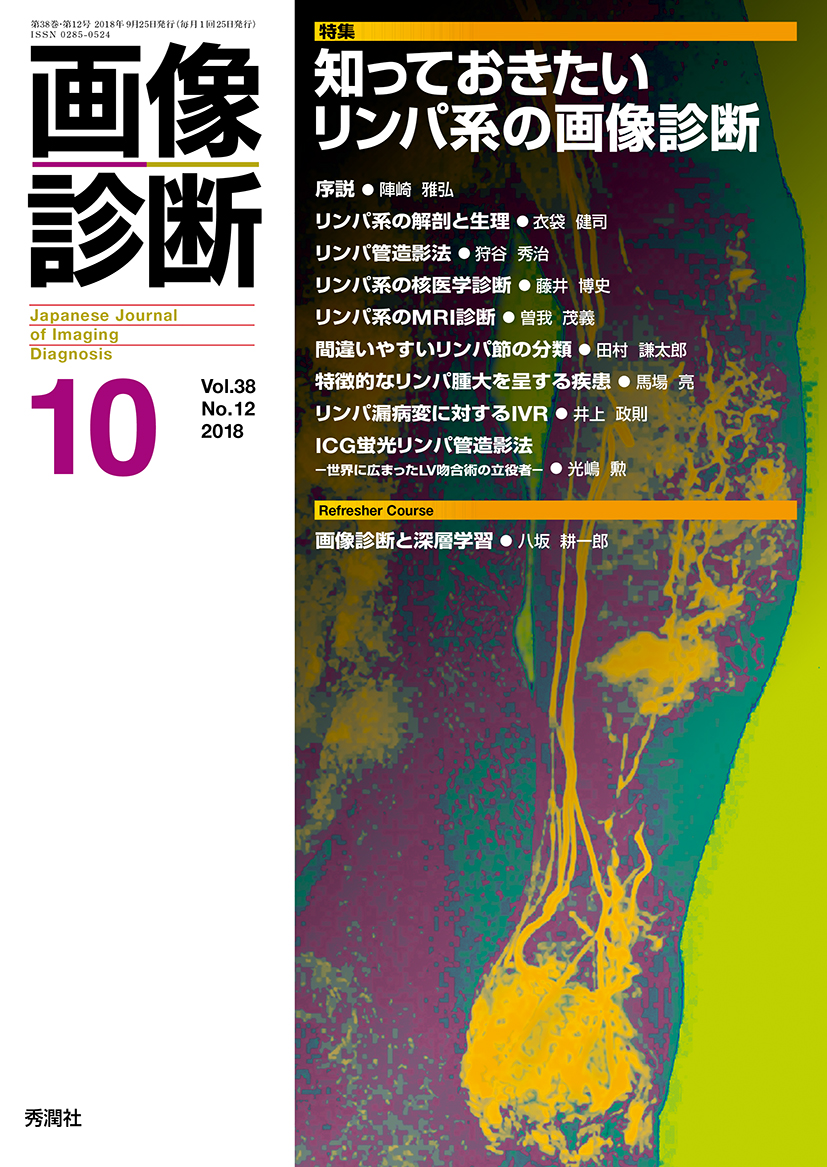 画像診断 2018年 Vol.38 13冊セット 秀潤社 画像診断 Vol.38 No.12（2018年10月号） | 医書.jp