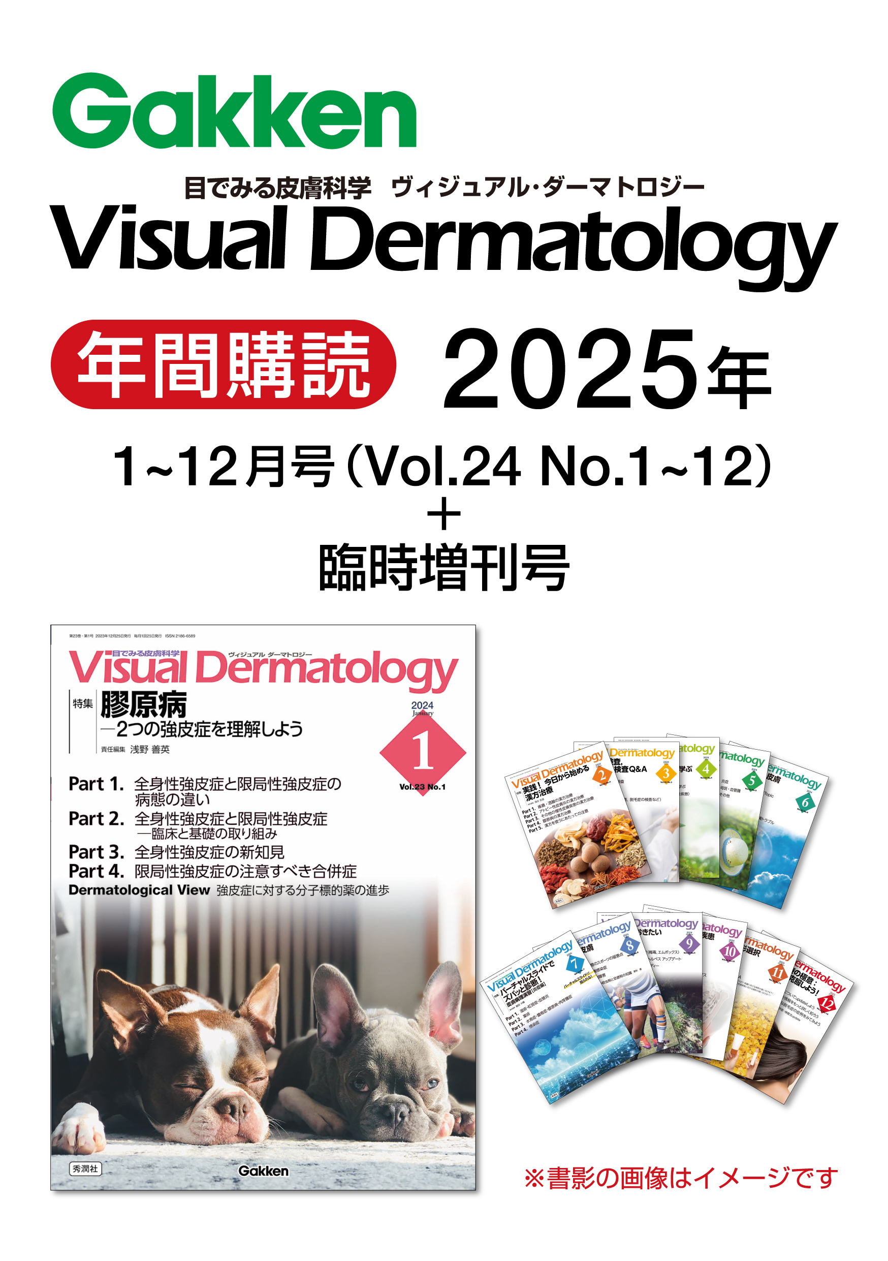 皮膚科専門誌 Visual Dermatology他 8冊セット Visual Dermatology』年間購読（2025年） | 医書.jp