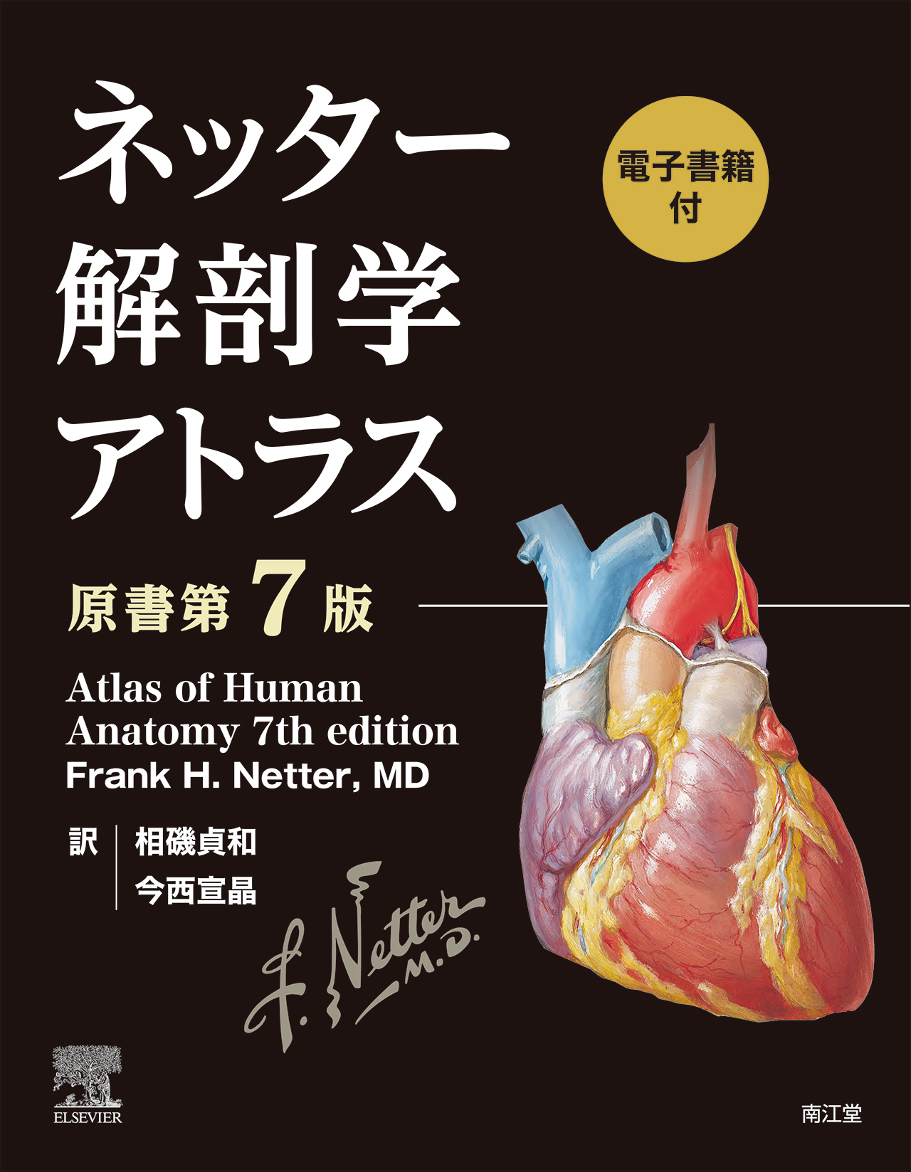 ネッター解剖学アトラス 原書第7版 | 医書.jp