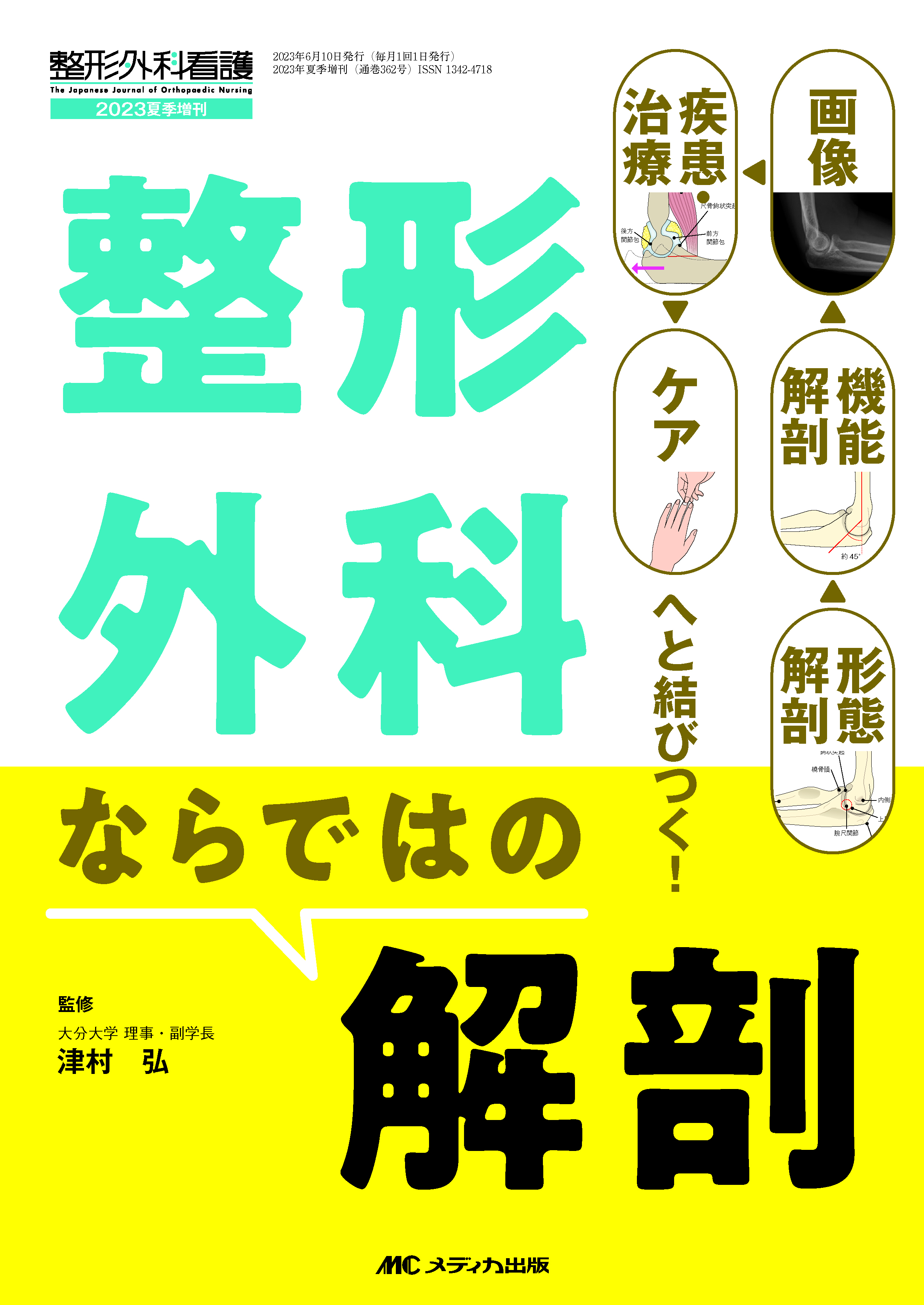 整形外科ならではの解剖 | 医書.jp
