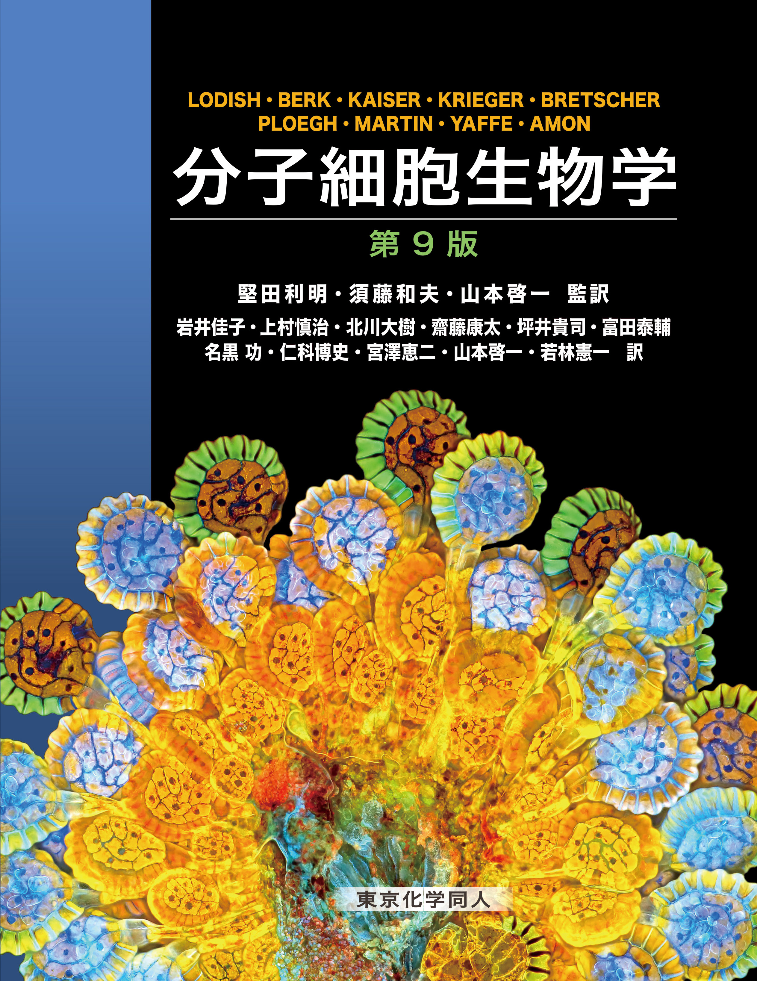 分子細胞生物学 第9版 | 医書.jp