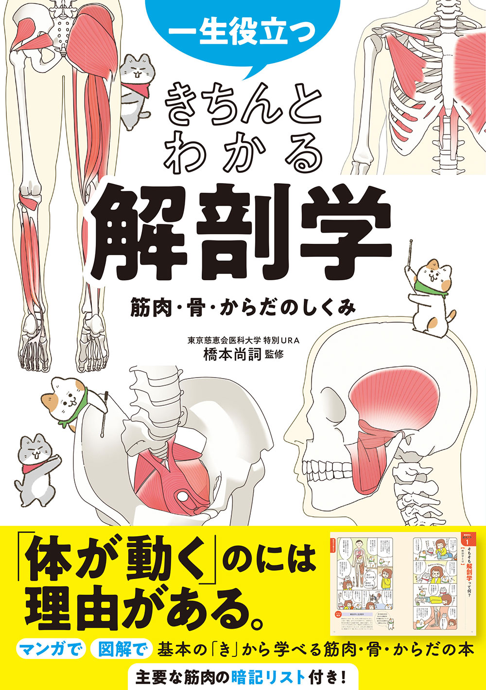 一生役立つ！ きちんとわかる解剖学 筋肉・骨・からだのしくみ | 医書.jp